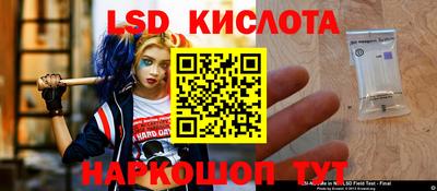 мяу мяу мука Заводоуковск