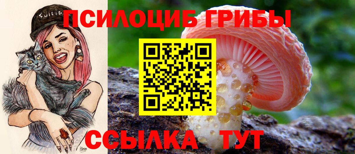 Псилоцибиновые грибы прущие грибы Лысьва