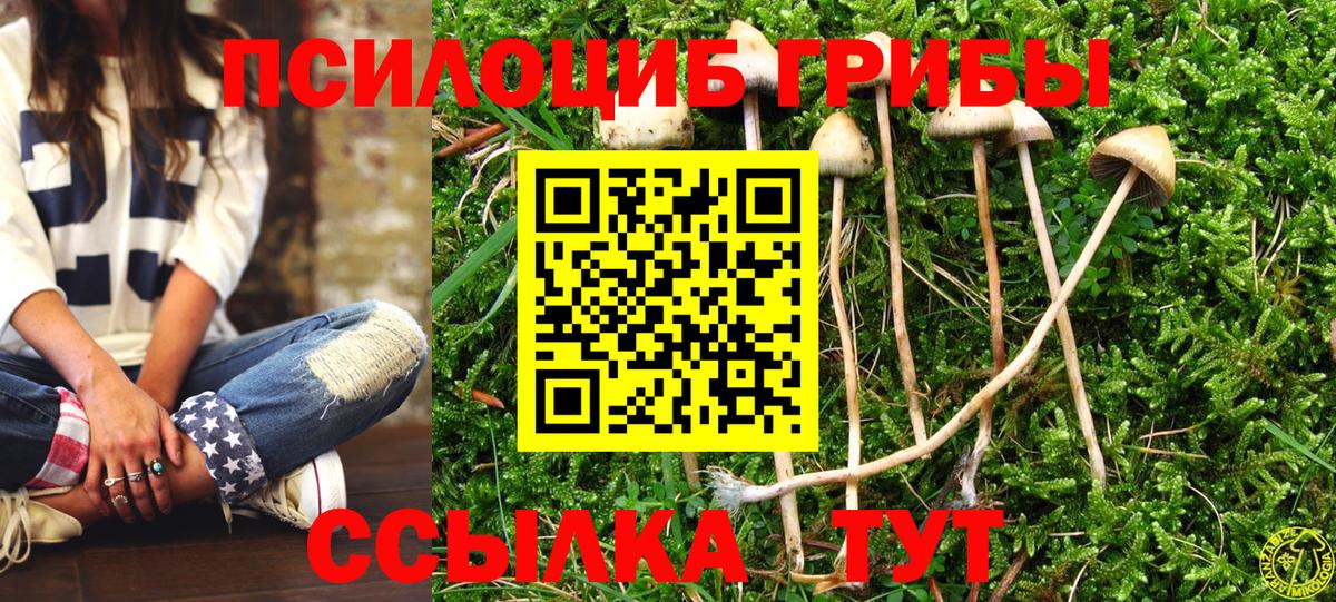 Лысьва  Псилоцибиновые грибы Psilocybine cubensis  Вход с VPN 